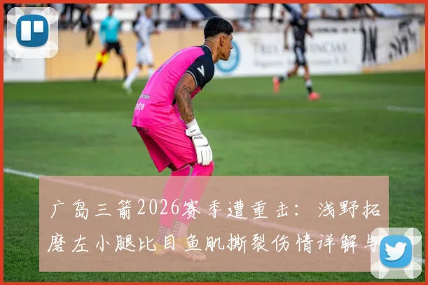 广岛三箭2026赛季遭重击：浅野拓磨左小腿比目鱼肌撕裂伤情详解与复出前景分析