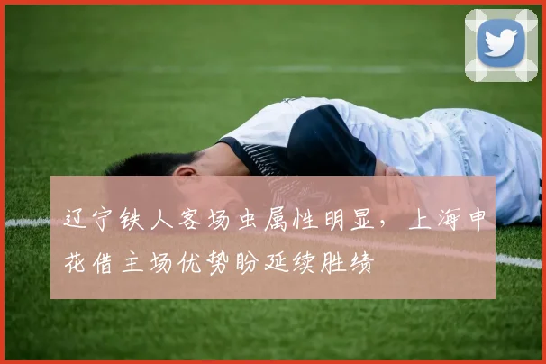辽宁铁人客场虫属性明显，上海申花借主场优势盼延续胜绩