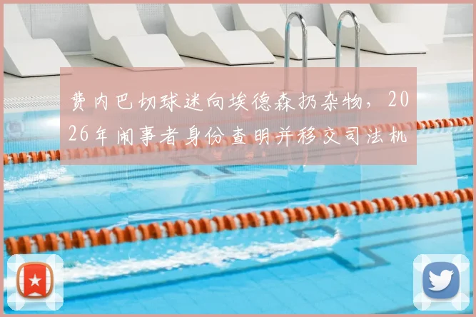 费内巴切球迷向埃德森扔杂物，2026年闹事者身份查明并移交司法机关处理